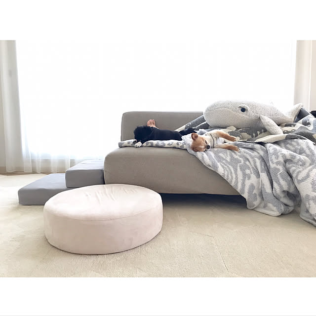 haruhinaさんの実例写真