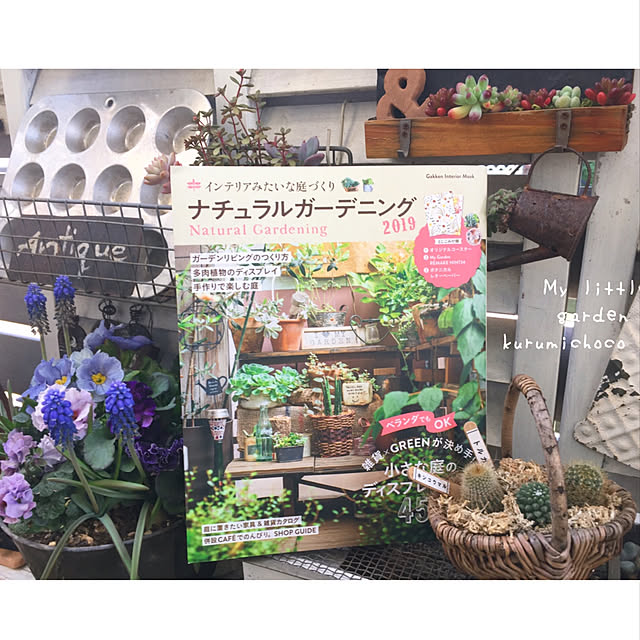 kurumichocoさんの実例写真