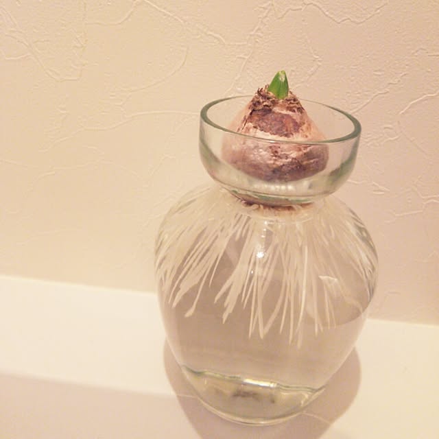 chocolateさんの実例写真