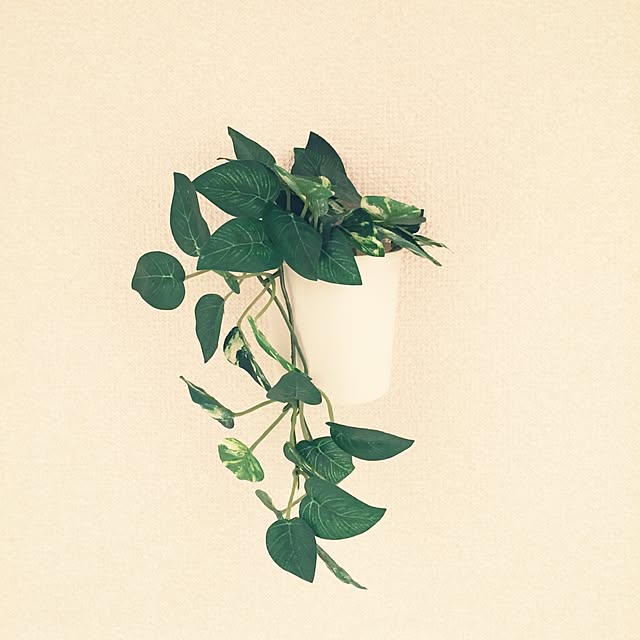 tansukeさんの実例写真