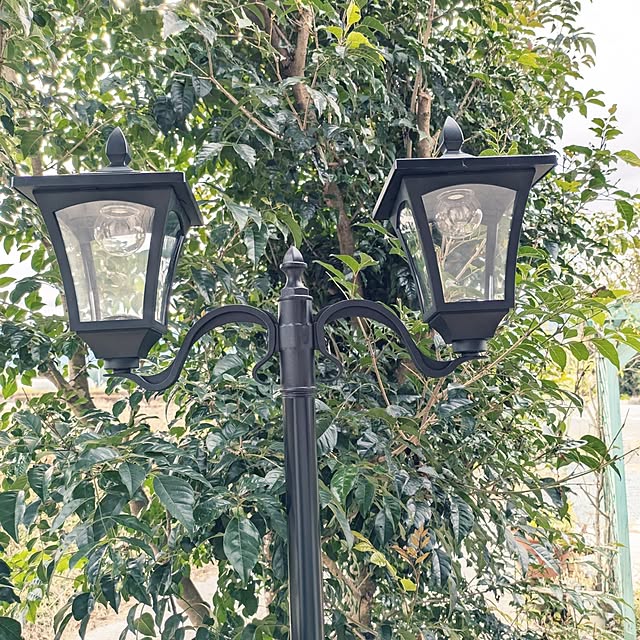 prepreさんの実例写真