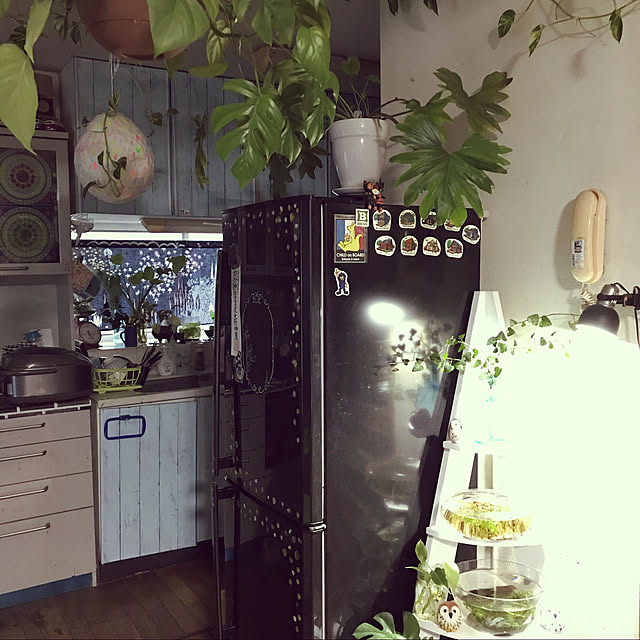 fu-minさんの実例写真