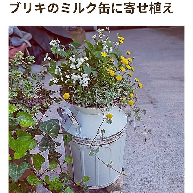 mocomocoさんの部屋