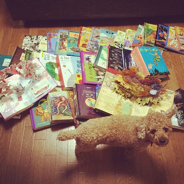 mikikoさんの実例写真