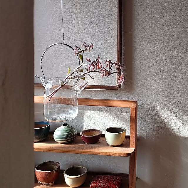 hana-さんの部屋