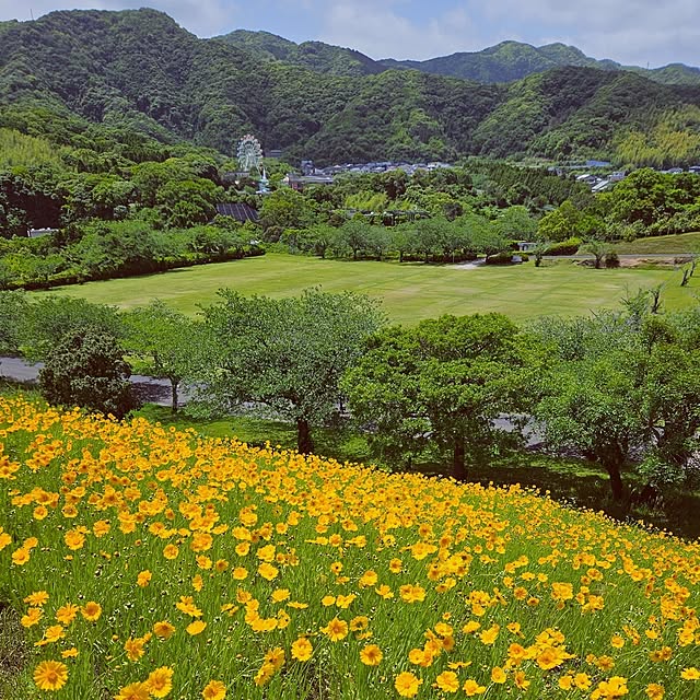 mocomocoさんの部屋