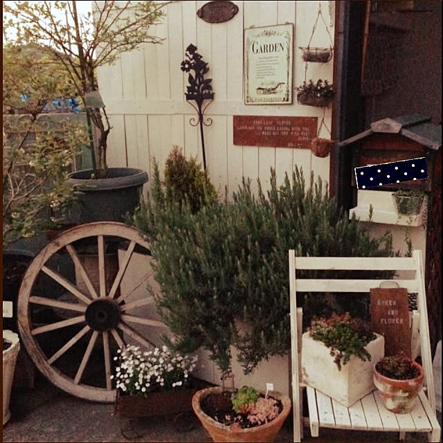 tomoさんの実例写真