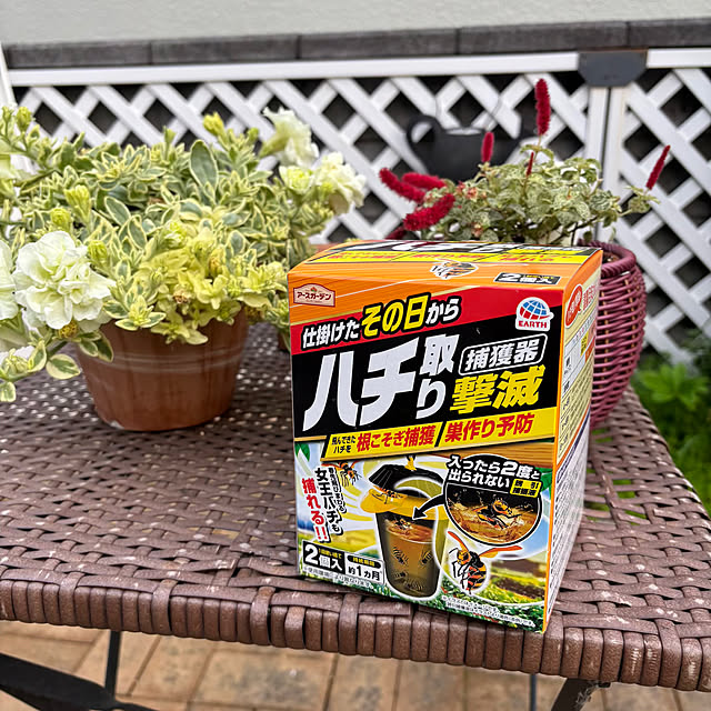 momocchiさんの部屋