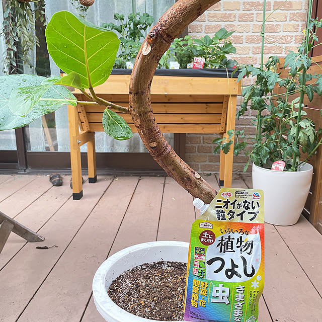 chinaさんの部屋
