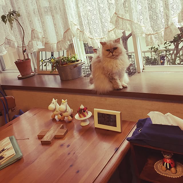 junさんの実例写真