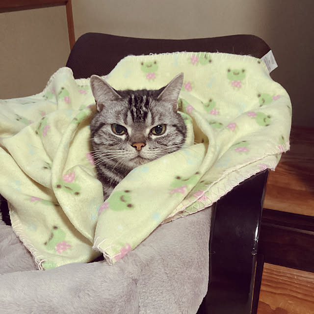 richanさんの実例写真