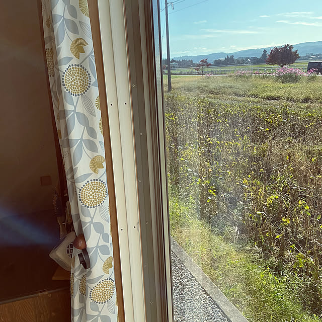 chiiyanさんの部屋