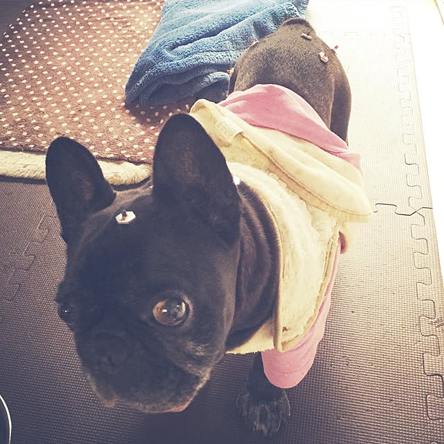 yayonさんの実例写真
