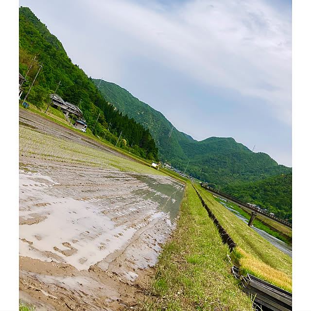 cota2さんの実例写真