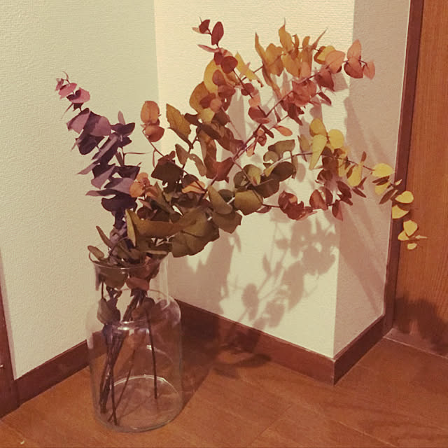m.s.1125さんの実例写真