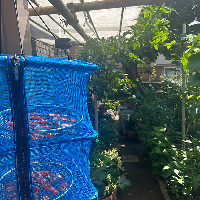 botanさんの部屋