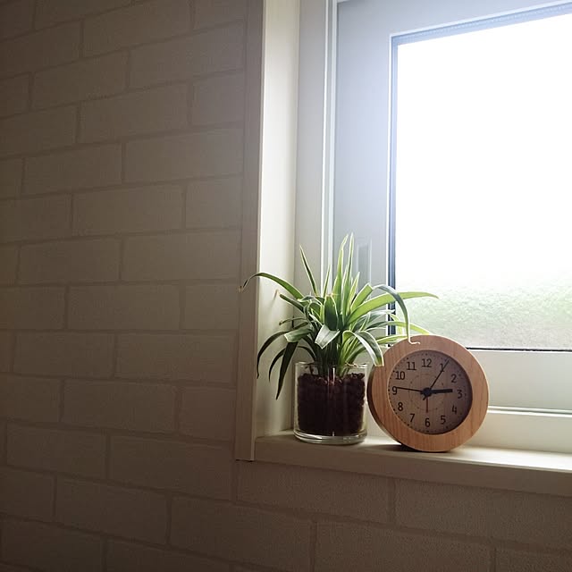 Miiiiiさんの実例写真