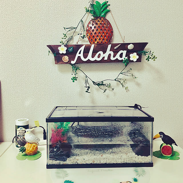 Liaさんの実例写真