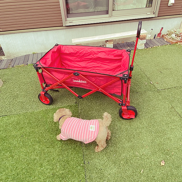 puuさんの実例写真