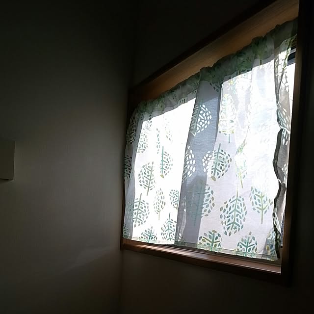 kyukyuさんの実例写真