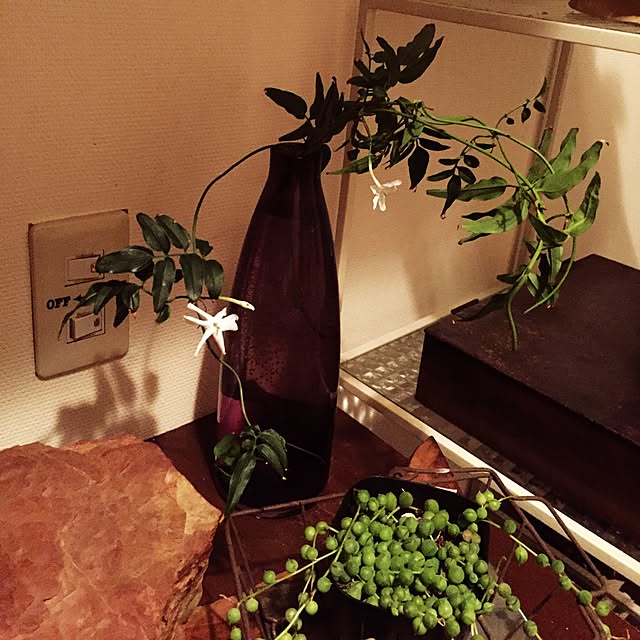 ka_achanさんの実例写真