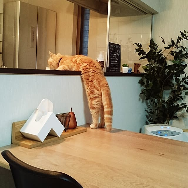 yukiさんの実例写真