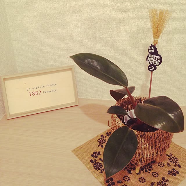 ojyaruさんの実例写真