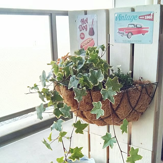 daiさんの実例写真