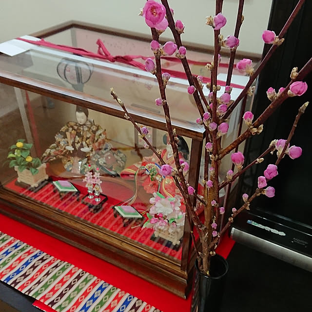 ri-koさんの実例写真