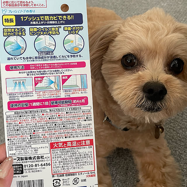 ikt.tamaさんの実例写真
