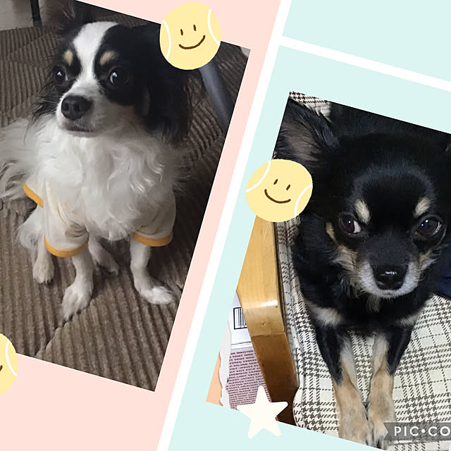 sakuさんの実例写真
