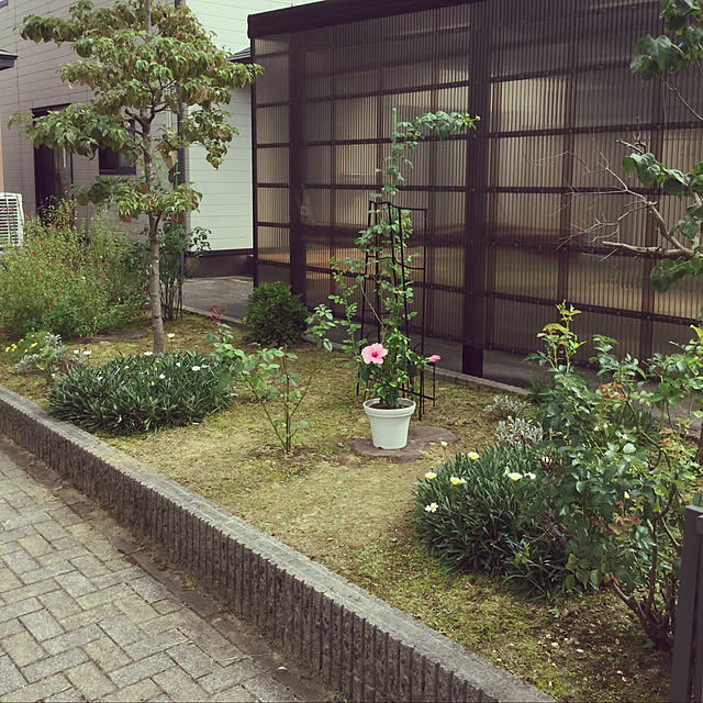 kakoさんの実例写真