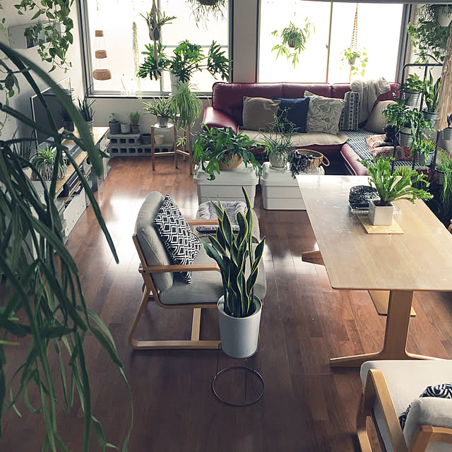 hira_muji_mihiさんの実例写真
