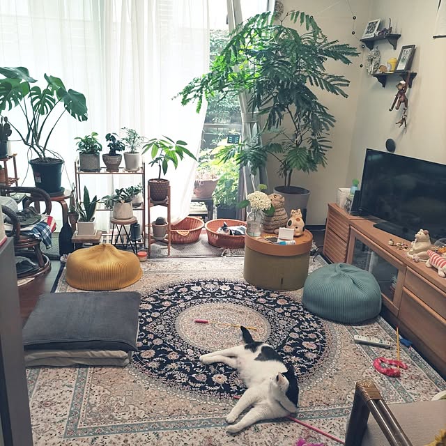 yuuさんの実例写真