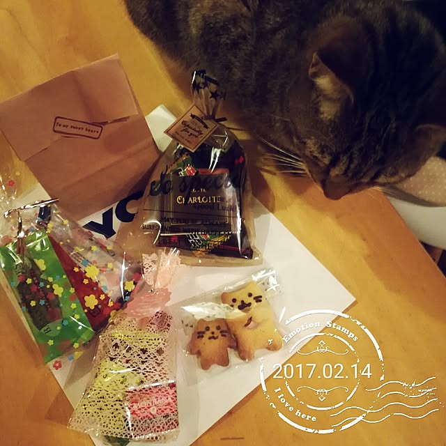 Maki-nekomamireさんの実例写真
