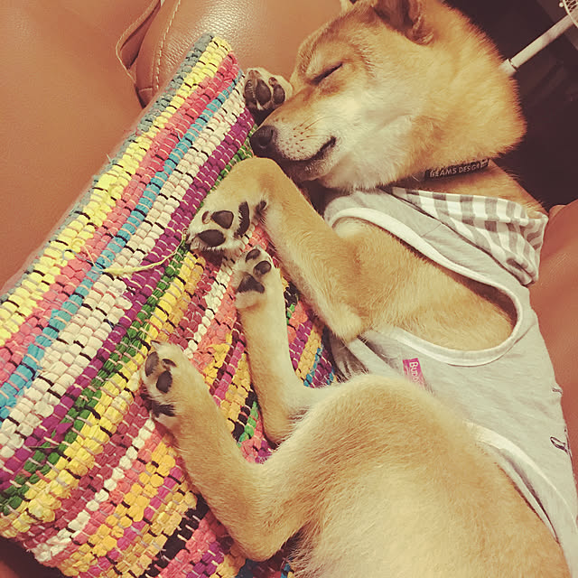 tanyuumoさんの実例写真