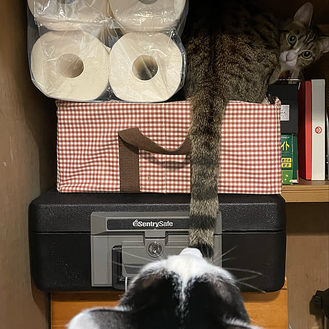 nobikoさんの実例写真
