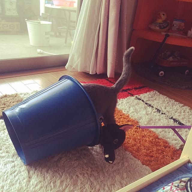 Shojiさんの実例写真
