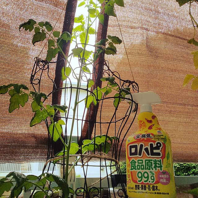 runaさんの実例写真