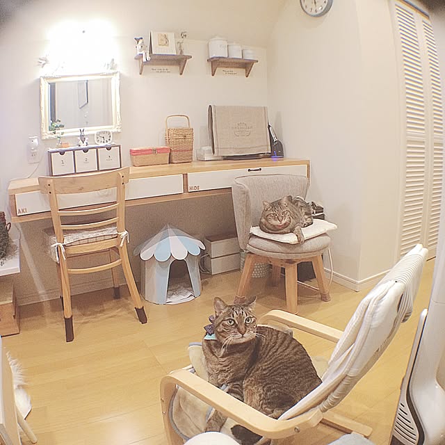 lovecatさんの実例写真