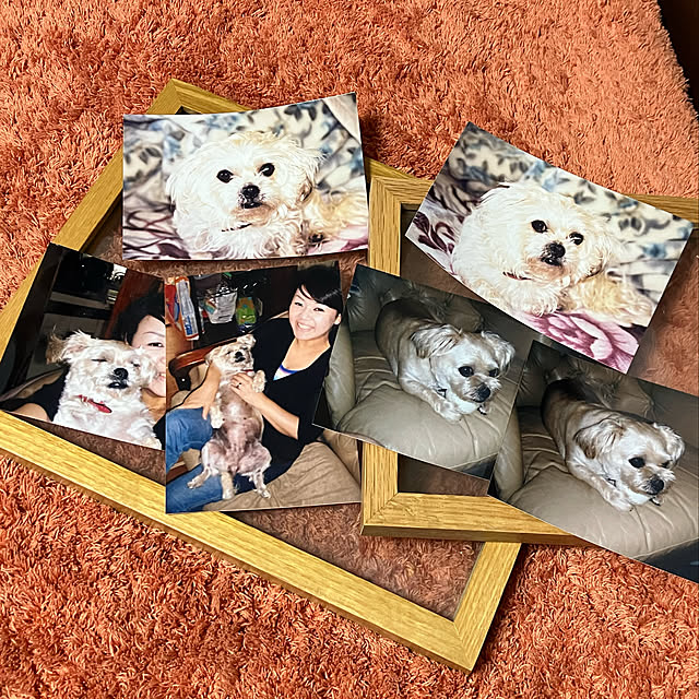 koshiregutyoさんの実例写真