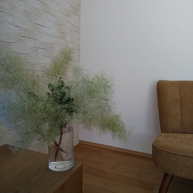 anemone37さんの部屋