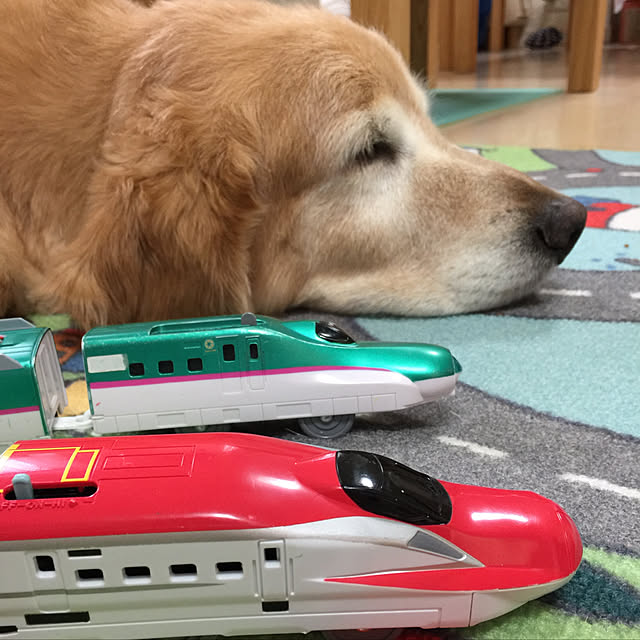 mihoさんの実例写真