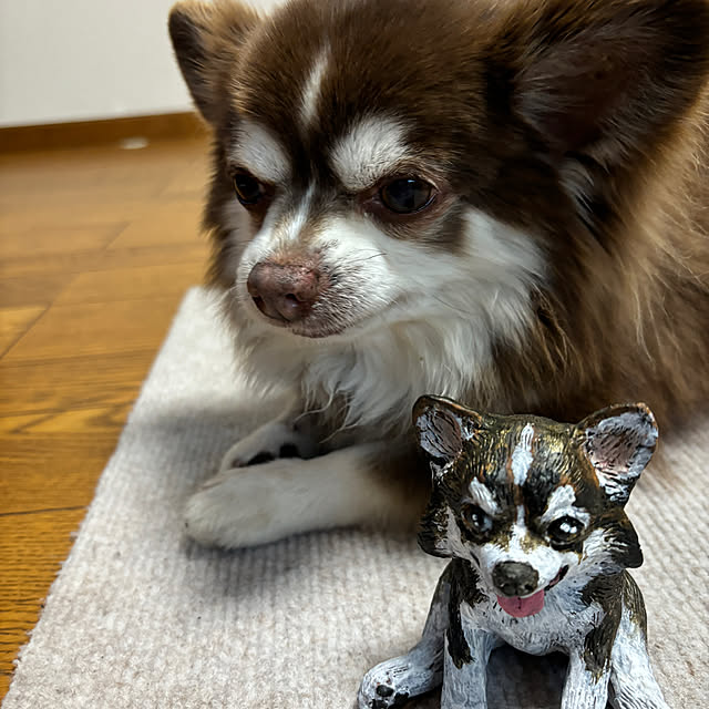 chIoeさんの部屋