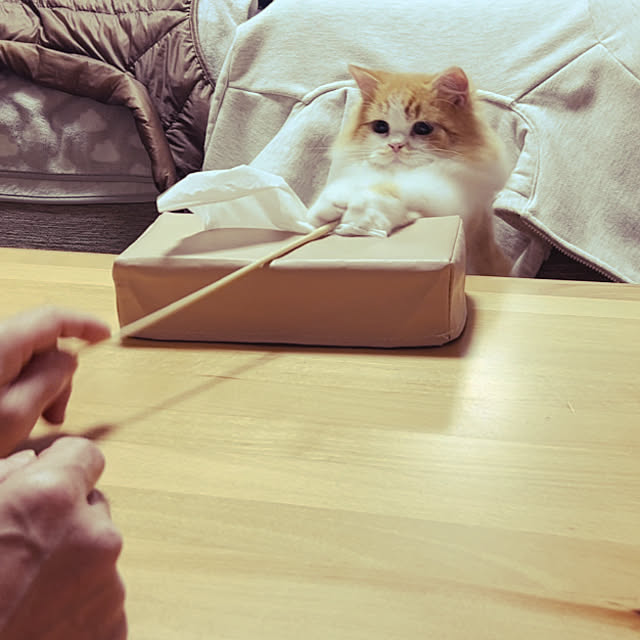 junさんの部屋