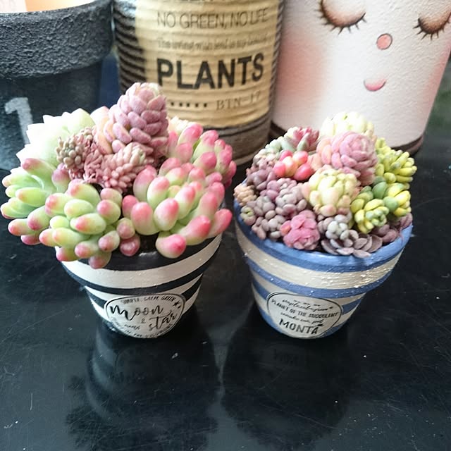 soaimさんの実例写真