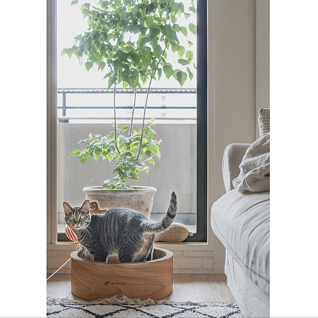 oliveさんの実例写真
