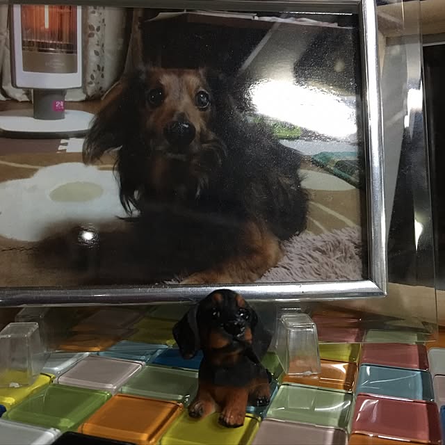 sakuranboさんの実例写真