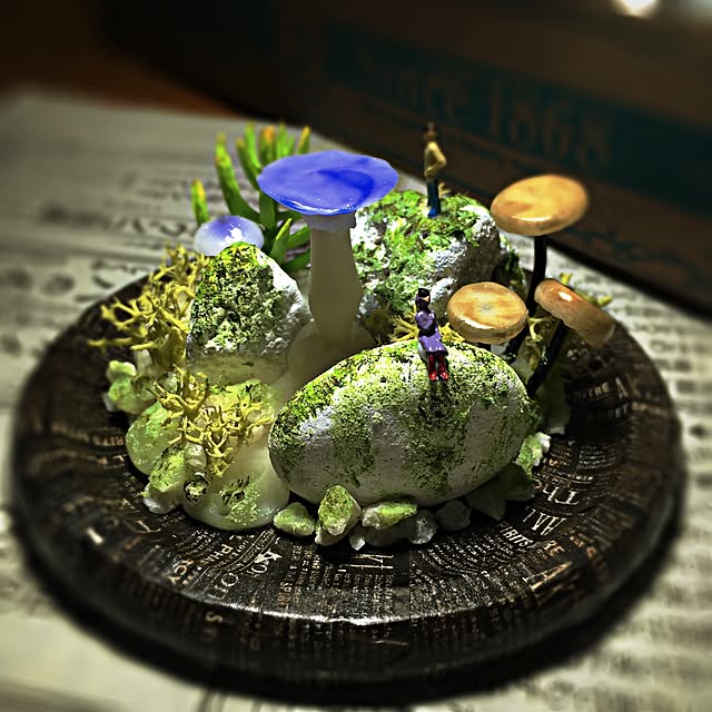 ramuchop3000さんの実例写真