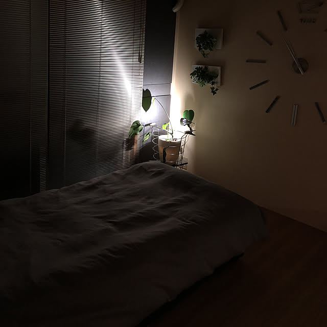 y-kaさんの実例写真